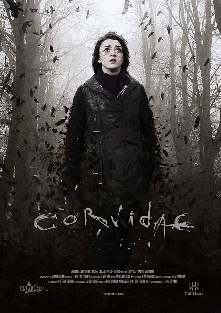 „Corvidae“ (2018)