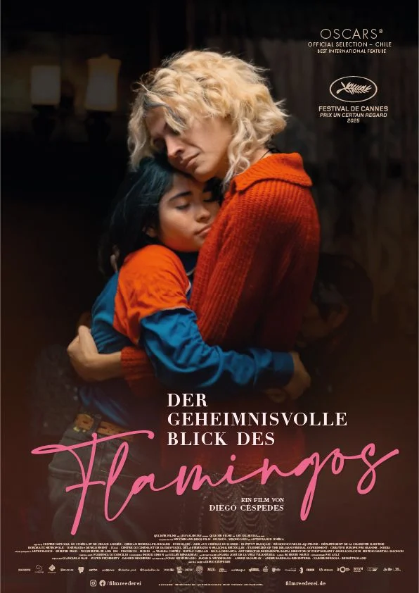 The Mysterious Gaze of the Flamingo poster