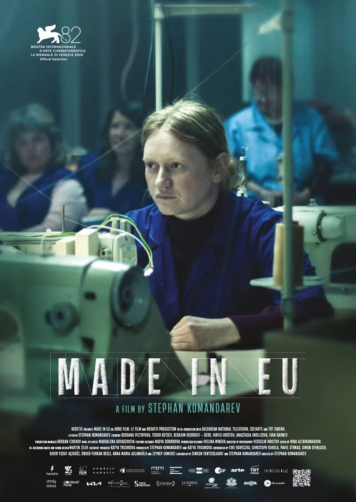 Made in EU poster