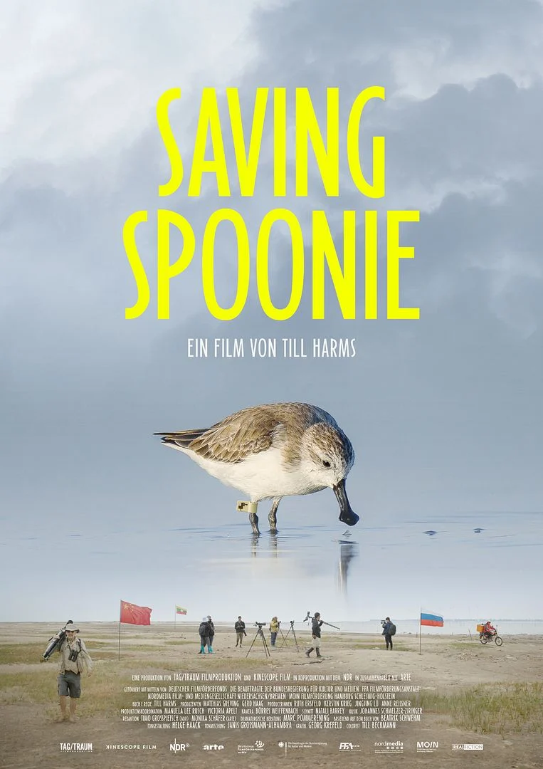 Saving Spoonie poster