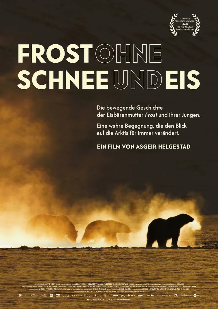 Frost Without Snow and Ice poster