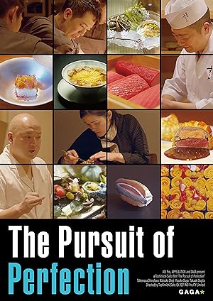 The Pursuit of Perfection poster