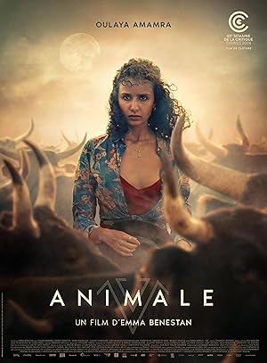 Animale poster