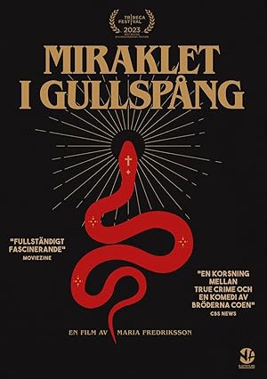 The Gullspång Miracle poster