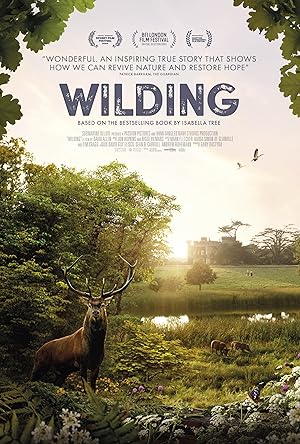 Wilding poster