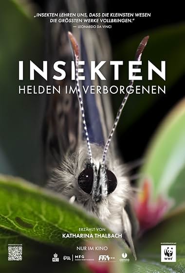 Insekten - Helden im Verborgenen poster