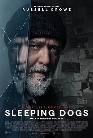 Sleeping Dogs poster